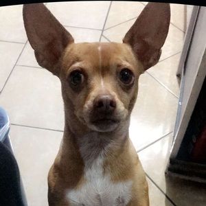 Meet your Posher, Karina